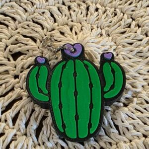Abrelatas cactus