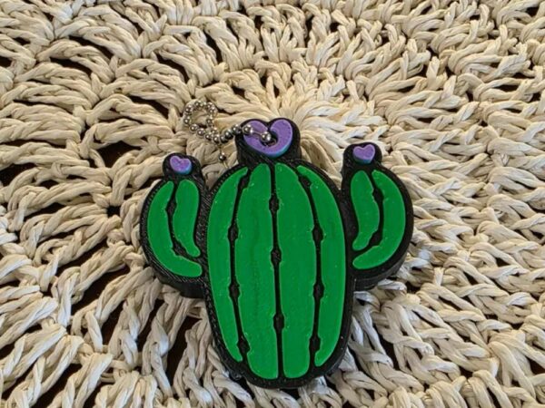 Abrelatas cactus