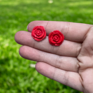 Pendientes 29